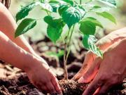 appartement 4 pièces