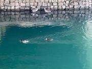 Appartement 4 pièces 65 m²