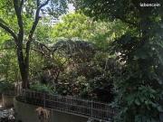 Appartement 4 pièces 65 m²