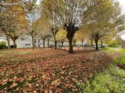 Appartement 4 pièces 70 m²