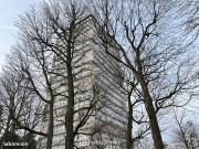 Appartement 4 pièces 75 m²