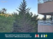 Appartement 4 pièces 77 m²