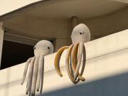 Appartement 4 pièces 78 m²