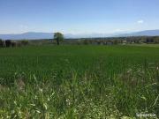 Appartement 4 pièces 80 m²