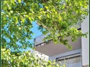 Appartement 4 pièces 80 m²