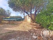 Appartement 4 pièces 77 m²