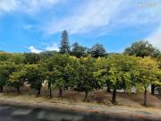 Appartement 4 pièces 86 m²