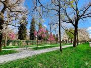 Appartement 4 pièces 86 m²