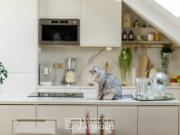 Appartement 4 pièces 92 m²