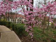 Appartement 4 pièces 84 m²