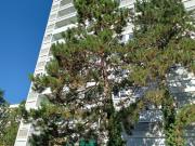 Appartement 4 pièces de 79 m2 m2A