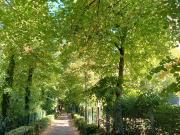 Appartement 4 pièces de 83 m2 m2A Appartement 4 pièces de 83 m2 m2A