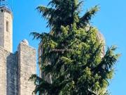 Appartement 5 pièces 118 m²