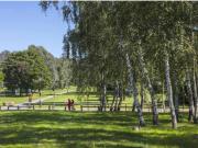 appartement 5 pièces