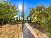 Appartement 5 pièces 217 m²