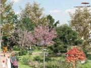 appartement 5 pièces