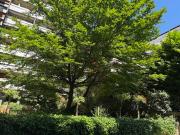 Appartement 5 pièces 88 m²