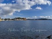 Appartement 5 pièces 95 m²