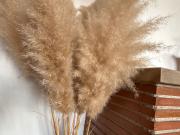 Appartement 5 pièces 96 m²