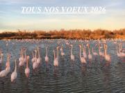 Appartement 75 m2 avec terrasse ARLES Aucun Travaux