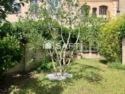 Appartement 7 pièces 219 m²