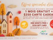 Appartement à Louer 1433 Rue Towers, Anjou Montréal 13...