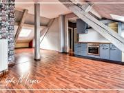 Appartement à louer 1 chambre 48m² à SARREBOURG 57,...
