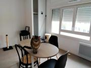 Appartement à louer 2 pièces 35,39 m Appartement à louer 2 pièces 35,39 m