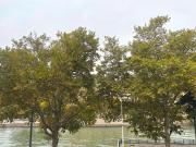 Appartement à louer 3 pièces 53,96 m