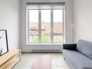 Appartement à Louer 590 rue viau, Mercier/Hochelaga...