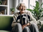 Appartement à Louer 600 rue Meigs, Granby 14 photos |...