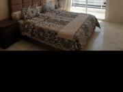 Appartement à louer à Harhoura