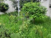 Appartement à louer avec jardin
