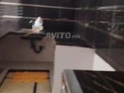 Appartement à louer Laviilette