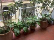 Appartement moderne climatisé Tanger ville