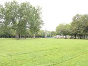 Appartement à louer, Montréal Ville Marie