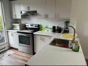 Appartement à Louer Tellier, Mercier/Hochelaga...