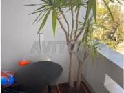 Appartement à vendre 121 m² à Rabat