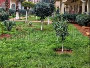 Appartement à vendre 131 m² à Meknès