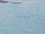 Appartement à vendre 55 m² à Casablanca