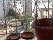 Appartement à vendre 70 m² à Casablanca