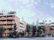 Appartement Angers 3 pièces ACCORDS BOISÉS