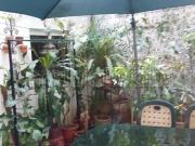 Appartement au RC Appartement au RC