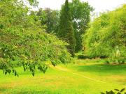 Appartement avec terrasse