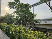 Appartement avec terrasse