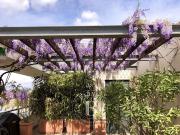 Appartement avec terrasse