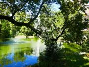 Appartement avec terrasse