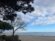Appartement avec terrasse en bord de mer