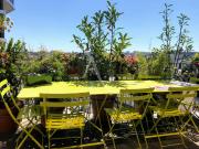 Appartement BNF 5 pièces avec terrasse