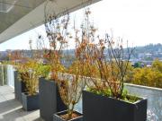 Appartement Boulogne Billancourt, Pont de Sèvres